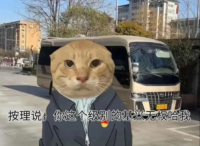 曼波无国界，哈基米解释权已成功 “易主”