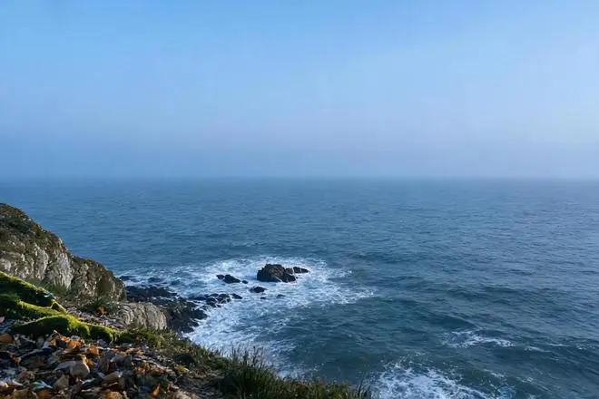 心理学研究发现:一个人扛过至暗时刻,最先改变的不是认知,不是意志,不是性格,而是大脑深处一个沉睡多年的隐秘开关