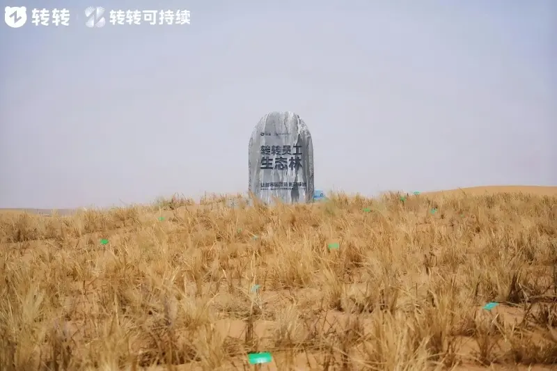 循环赋能生态修复,转转集团以长效行动守护绿色家园