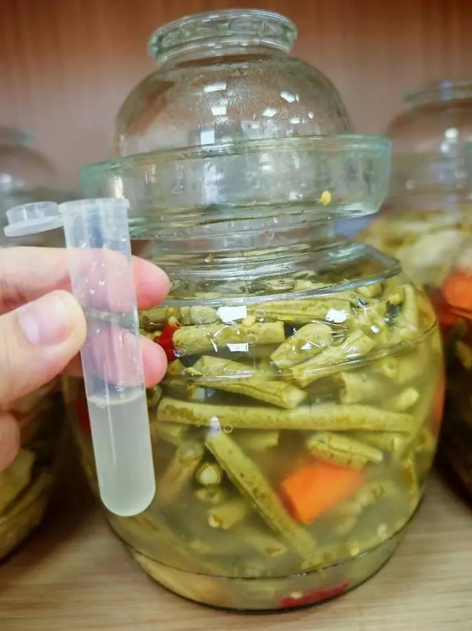 多吃泡菜好处多多！韩国专家：泡菜可助人体排出微塑料