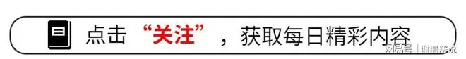 日本主帅含泪道歉!董路点评一针见血,巴西球迷披国旗当面嘲讽