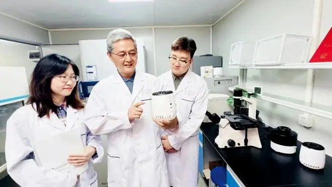 蚊子变性,你终于不再收“红包”?