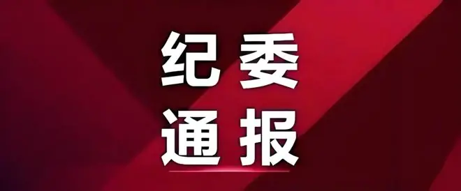 他接受纪律审查和监察调查