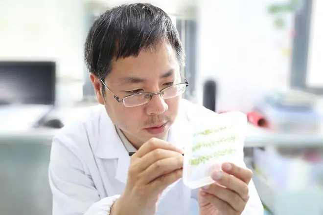 中国科研团队发现植物根系存在“避腐性”