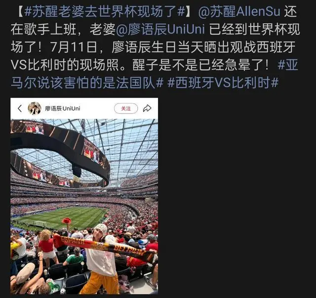 苏醒遗憾留守国内,妻子廖语辰亲临世界杯现场观赛