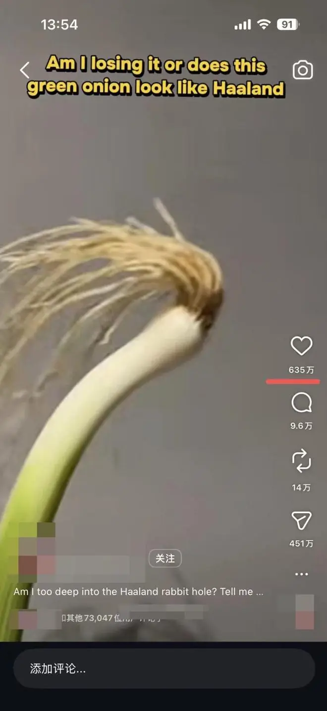 浏览量破亿哈兰德本尊回复!爆火的“哈兰葱”竟是重庆小伙花一小时精挑的蒜苗