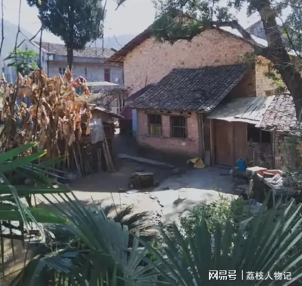 我任职副县长,县委书记看不惯我,若干年后我任省长的下手