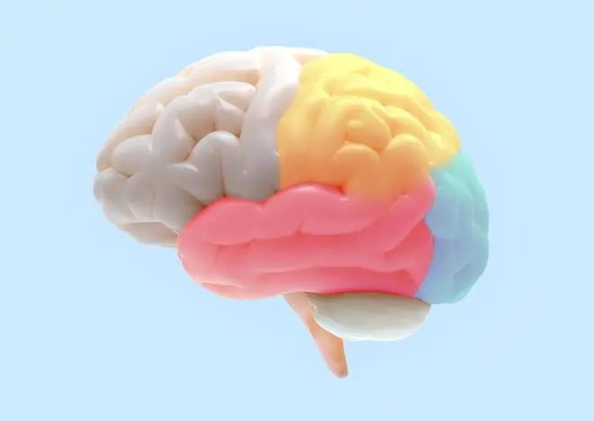 14岁初二孩子突然叛逆、摆烂、爱顶嘴?背后藏着5个脑科学真相