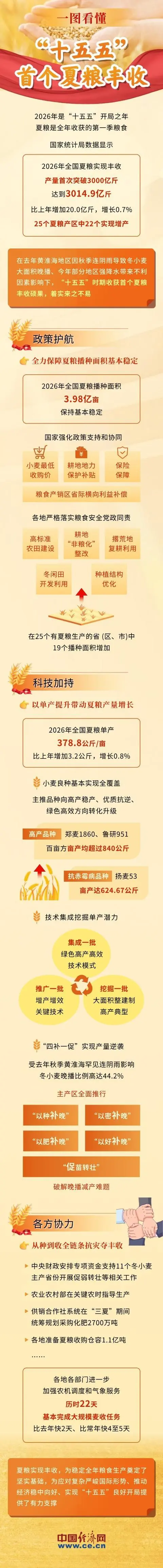 一图看懂“十五五”首个夏粮丰收 何以突破3000亿斤?