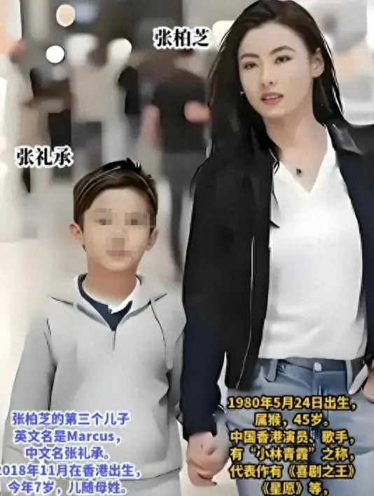 揪心!张柏芝确诊患病,伤她最深的不是陈冠希 3年怀孕5次成导火