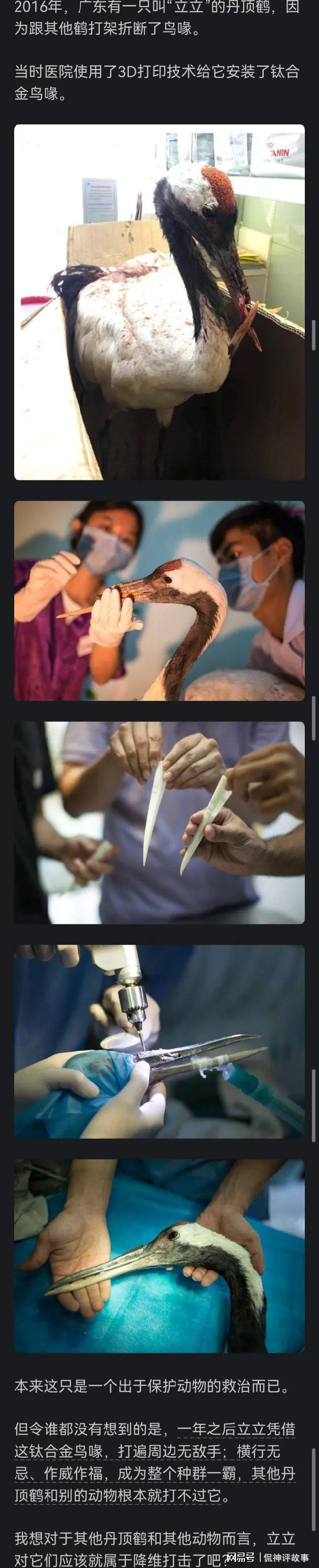 降维打击到底有多恐怖 看网友讲述 原来换个招数可以这样玩学到了