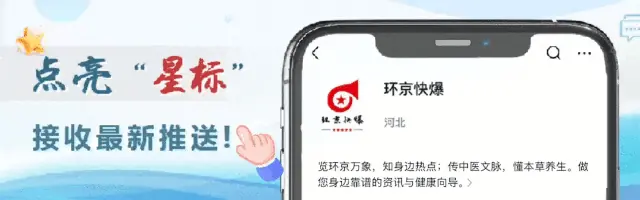 识别中药材桑叶